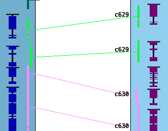 Collinear Highlight and Gene Lines