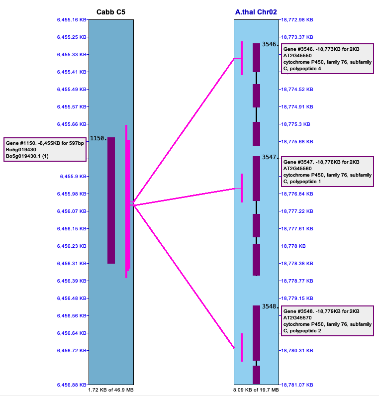 Pile to repetitive gene