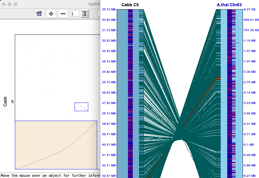 dotplot-2g-cell