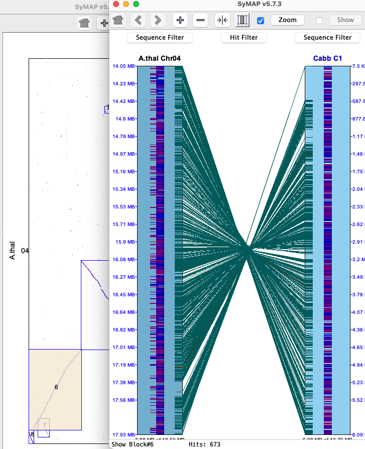 dotplot-chr-2d