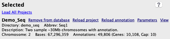 Project options