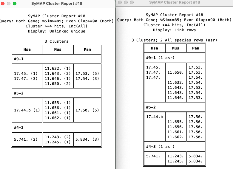report cluster