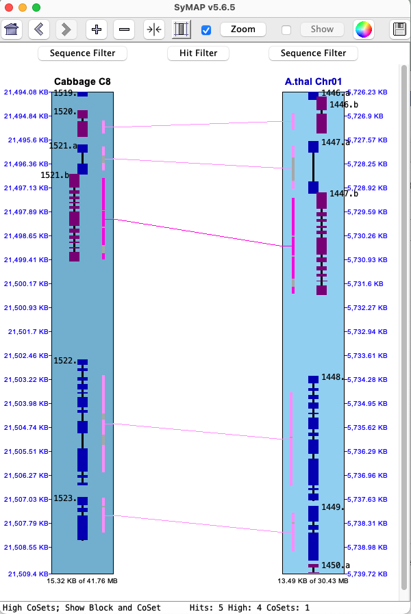 query synteny
