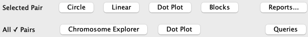 Dots and Circle Dots and Circle
